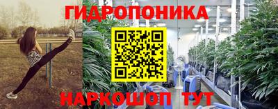 крисы Нягань
