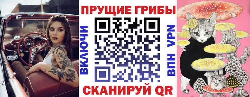 Псилоцибиновые грибы GOLDEN TEACHER хочу Химки